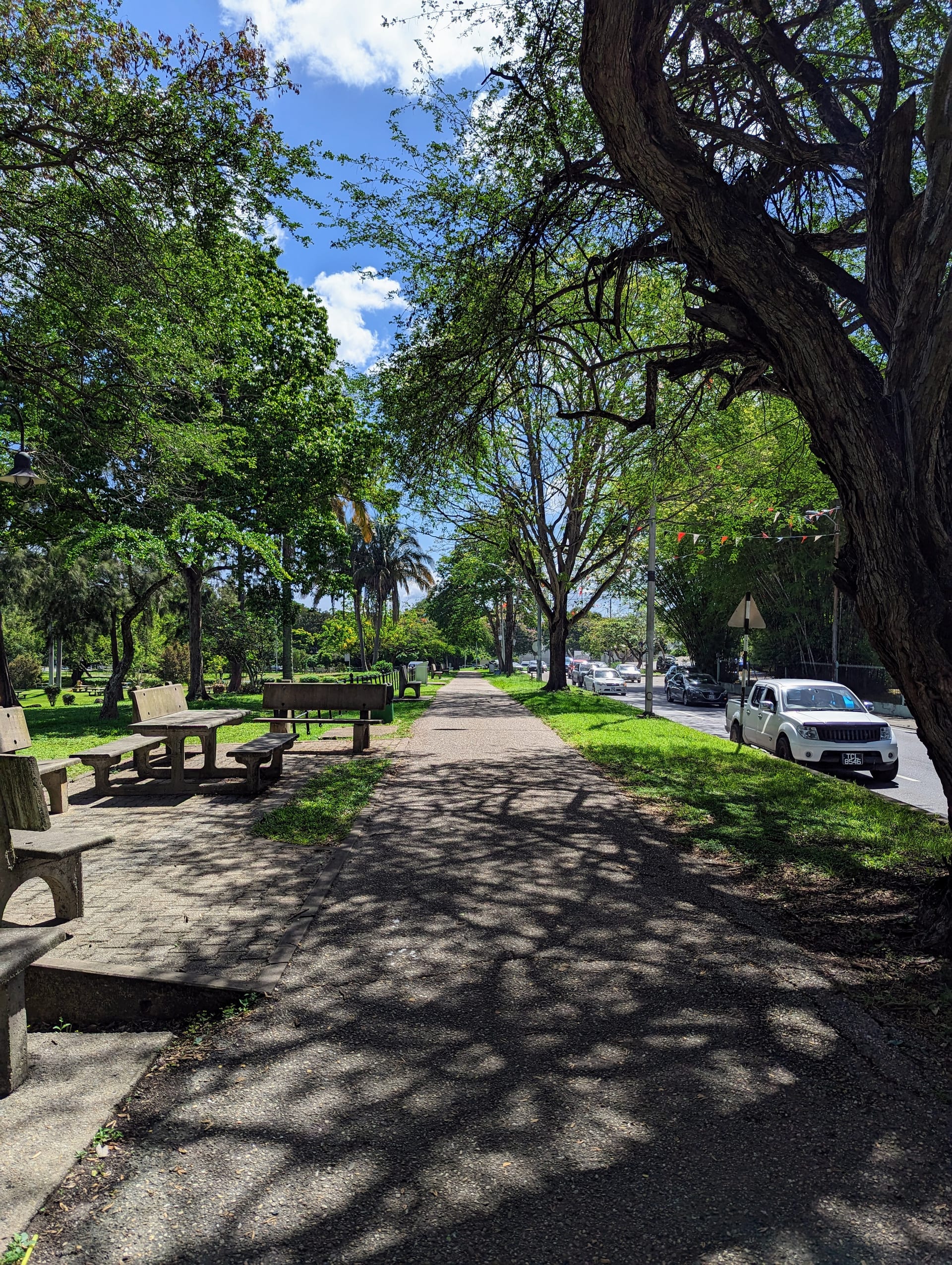 Savannah al anochecer